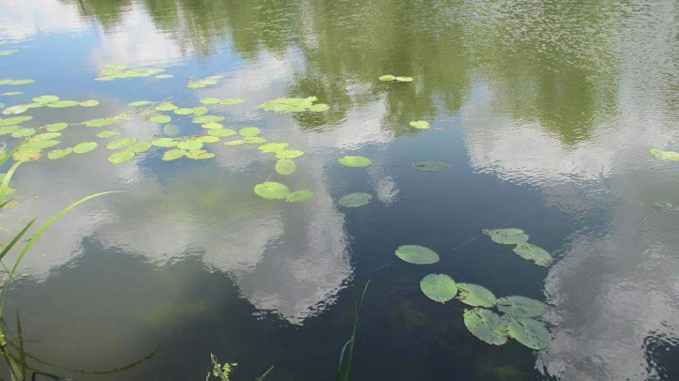 Дворічна з panoramio.com - Двуречная