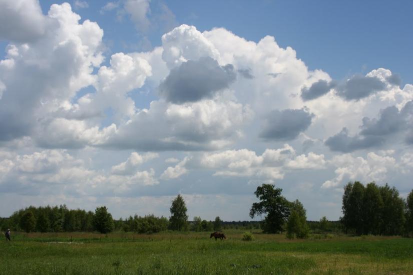 Макарівська Буда з panoramio.com - Макаровская Буда