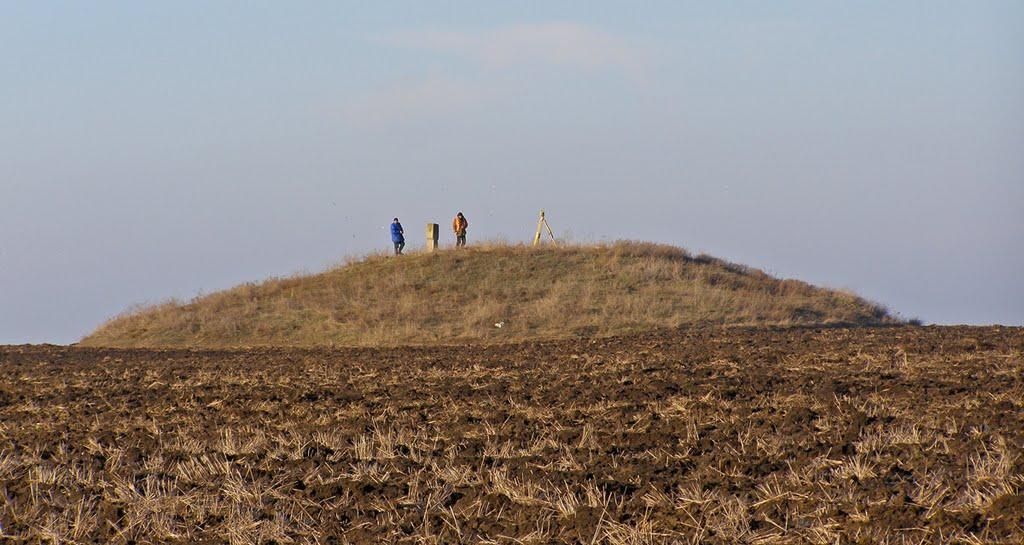 Нова Долина з panoramio.com - Нова Долина