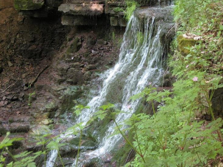 Скоморохи з panoramio.com - Скоморохи