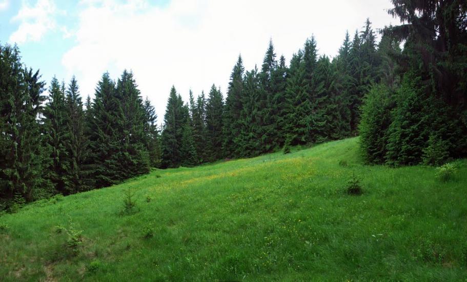 Потік з panoramio.com - Поток