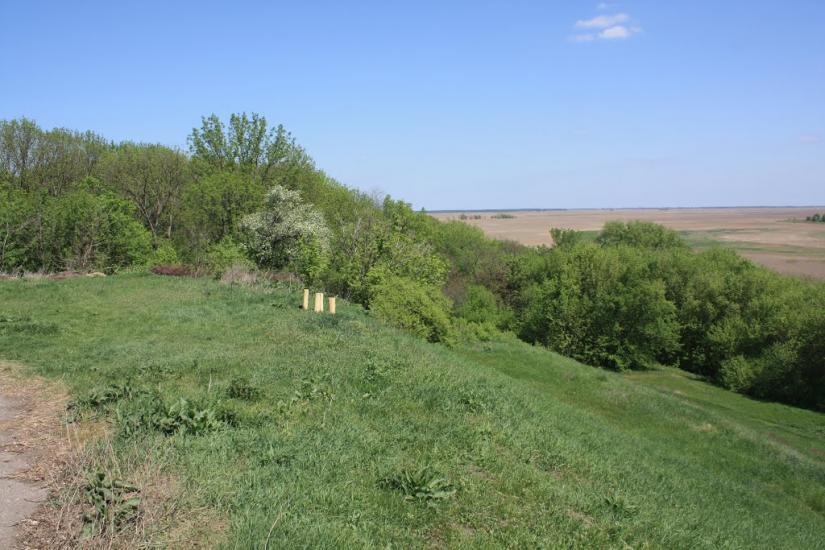 Велика Бурімка з panoramio.com - Великая Буромка