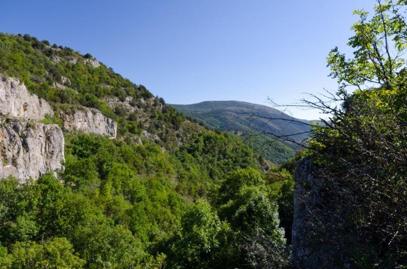 Поляна з panoramio.com - Поляна