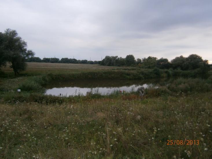 Берездівці з panoramio.com - Берездівці