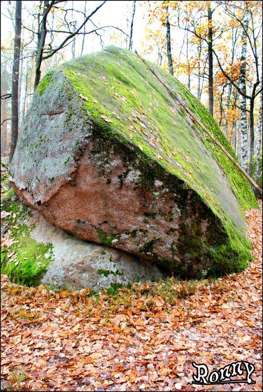 Рудня-Замисловицька з panoramio.com - Рудня-Замисловицька