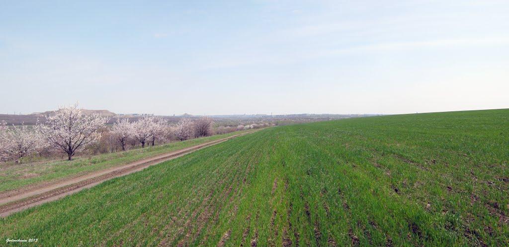 Широка Балка з panoramio.com - Широка Балка