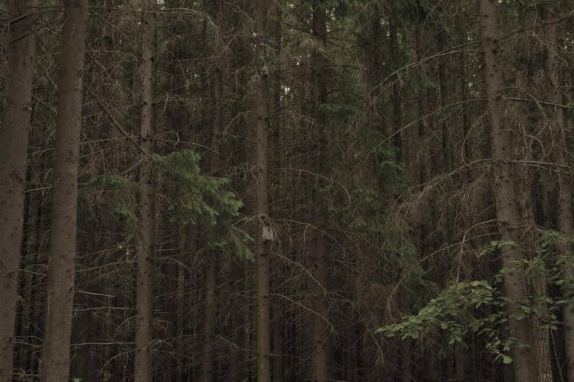 Черняхів з panoramio.com - Черняхів