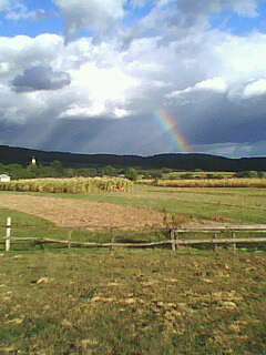 Лецовиця - Лецовиця