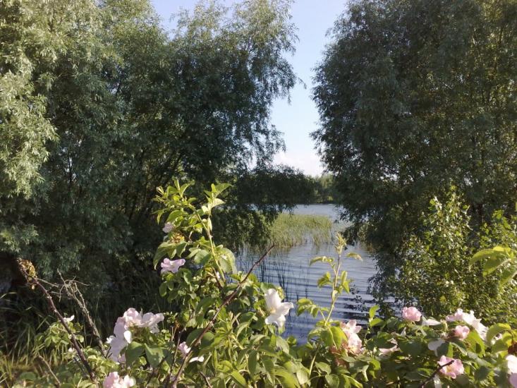 Верхня Оріхівка з panoramio.com - Верхняя Ореховка