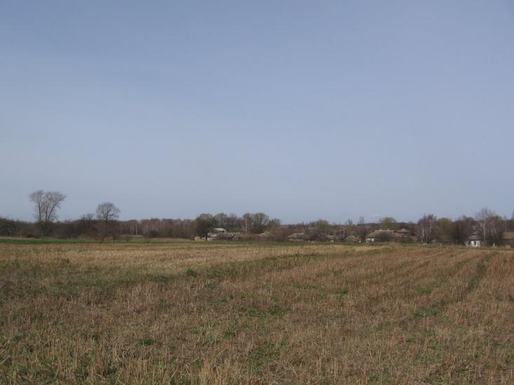 Петрушин з panoramio.com - Петрушин