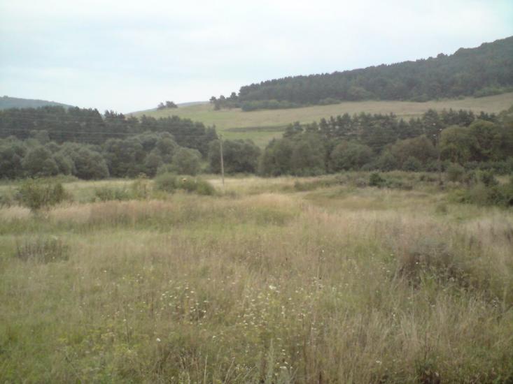 Павлів з panoramio.com - Pavliv