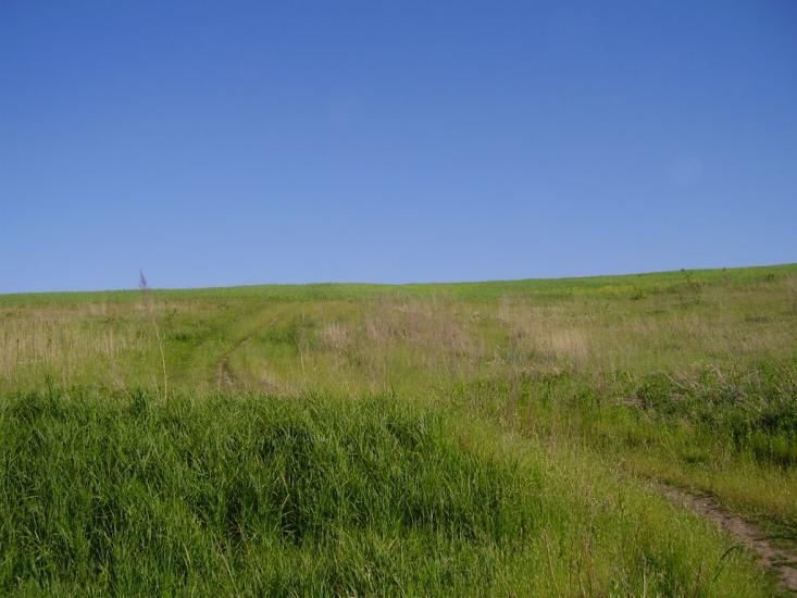 Коржівці з panoramio.com - Korzhivtsi