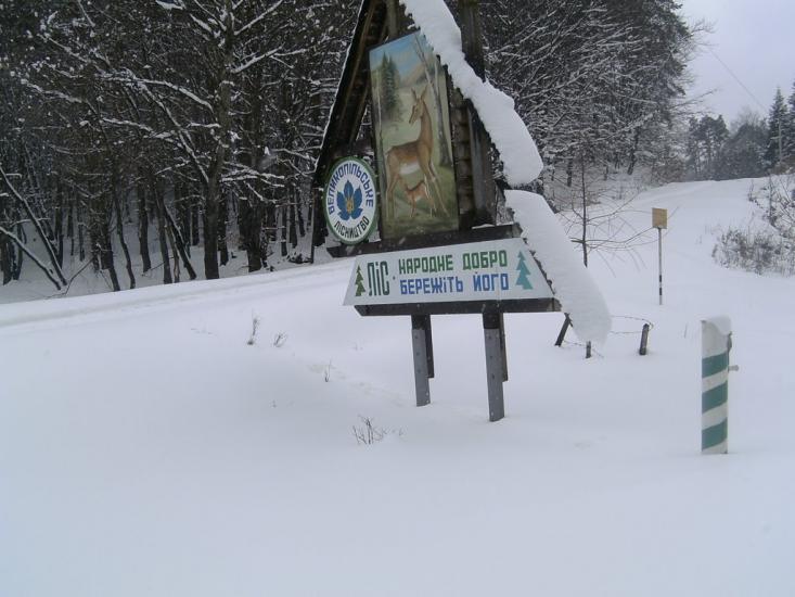 Івано-Франкове з panoramio.com - Ivano-Frankove