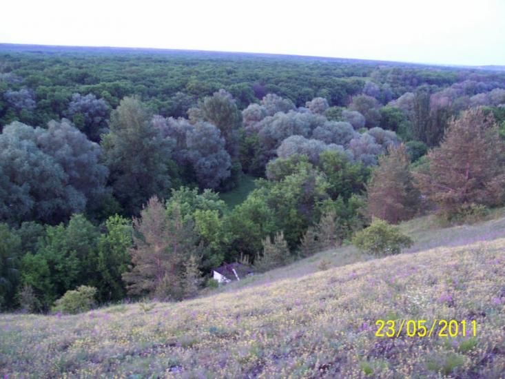 Пискунівка з panoramio.com - Pyskunivka