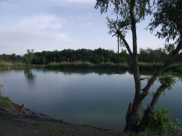 Червонопартизанськ з panoramio.com - Червонопартизанськ
