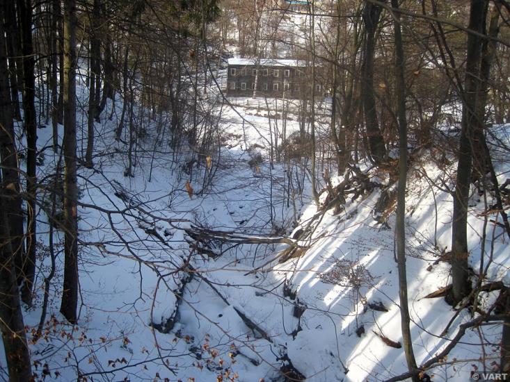 Пасічна з panoramio.com - Пасечная