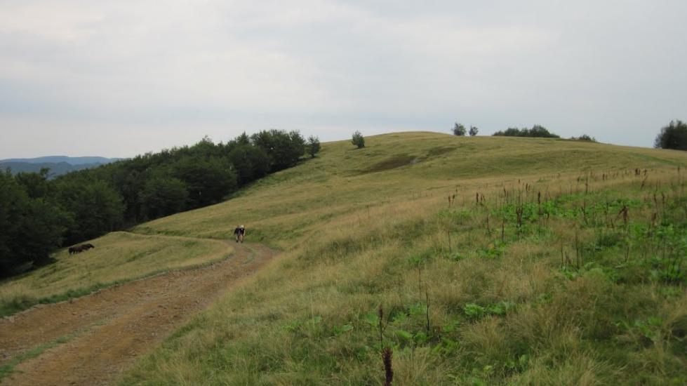 Усть-Чорна з panoramio.com - Усть-Чорна