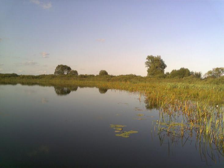 Турійськ з panoramio.com - Турийск