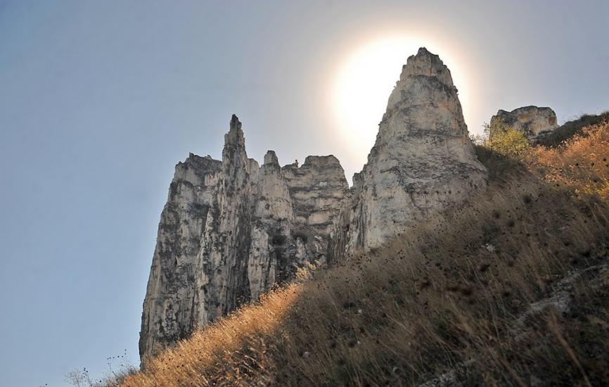Білокузьминівка з panoramio.com - Білокузьминівка