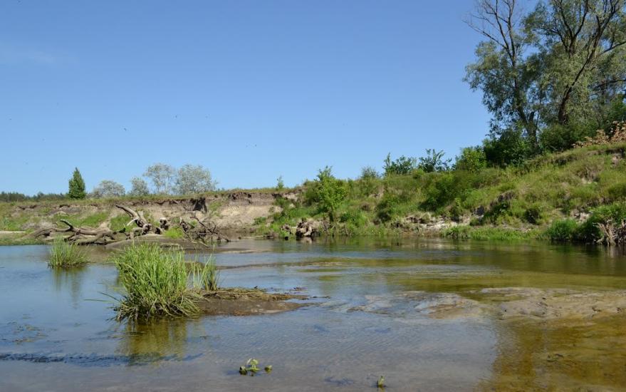 Лукищина з panoramio.com - Lukyschyna
