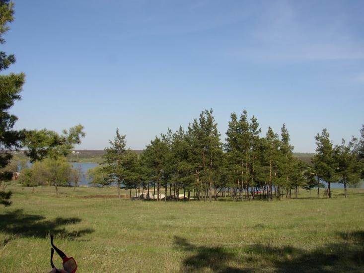 Лутугине з panoramio.com - Lutugino