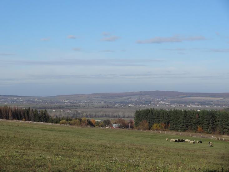 Купка з panoramio.com - Купка