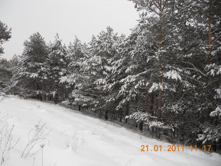 Могриця з panoramio.com - Mogrytsya