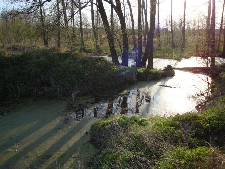 Мала Перещепина з panoramio.com - Малая Перещепина