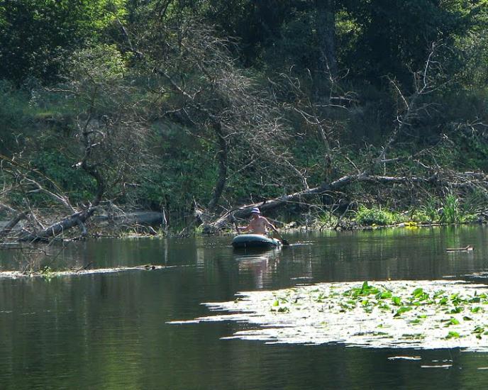 Бірки з panoramio.com - Борки