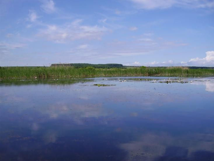 Літки з panoramio.com - Літки
