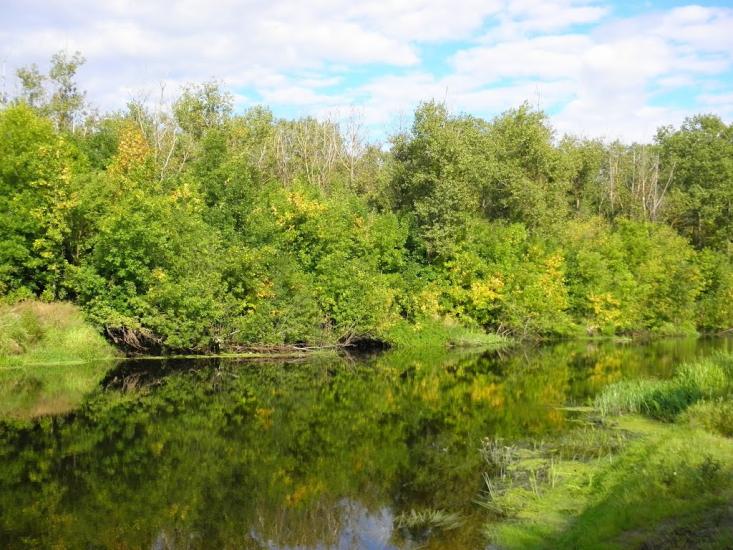 Клочків з panoramio.com - Клочків