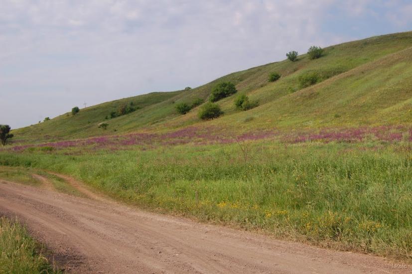 Пристине з panoramio.com - Пристине