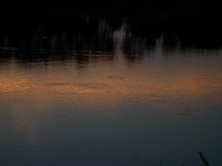 Козацьке з panoramio.com - Козацьке