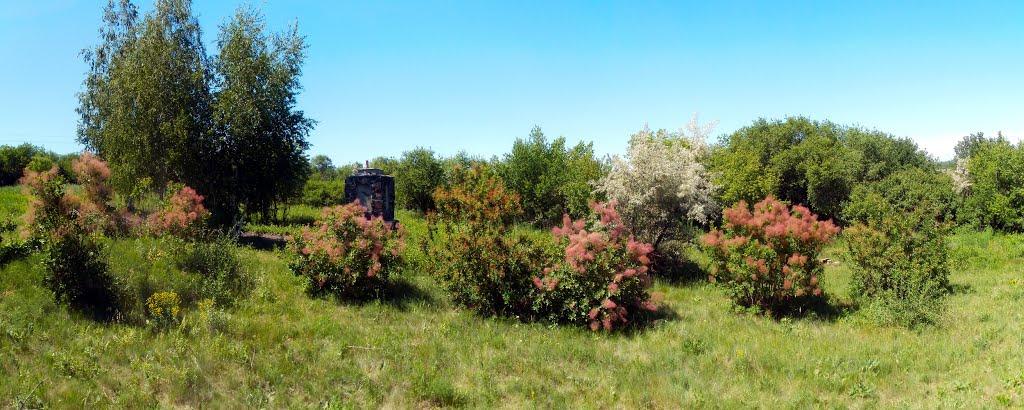 Покровське з panoramio.com - Покровське