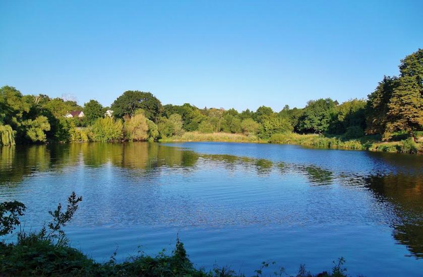 Високий з panoramio.com - Высокий