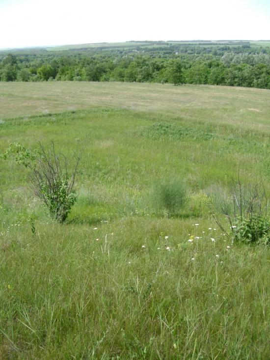Брагинці з panoramio.com - Брагинці