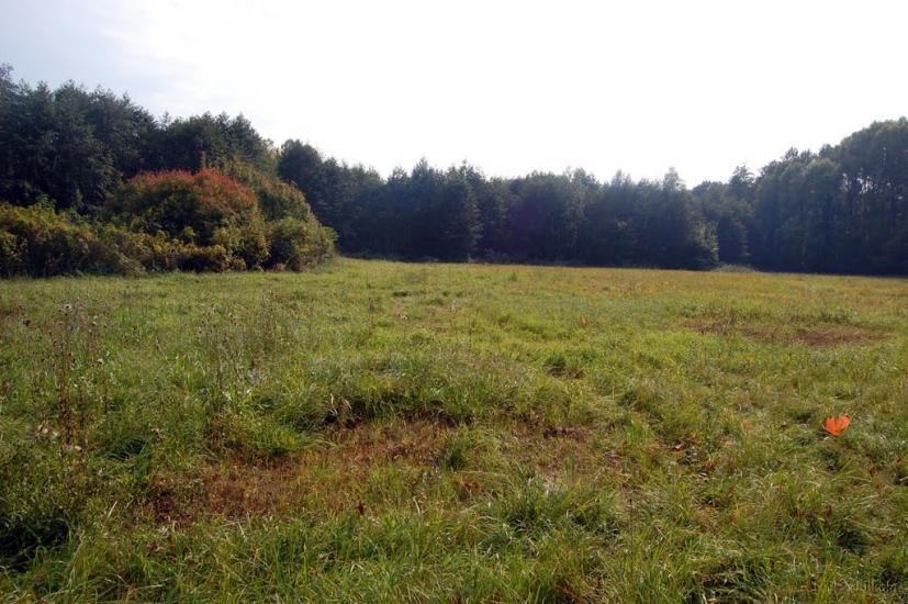 Серебрянка з panoramio.com - Serebryanka