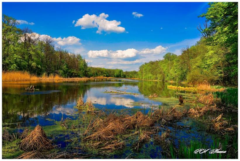 Серебрянка з panoramio.com - Serebryanka