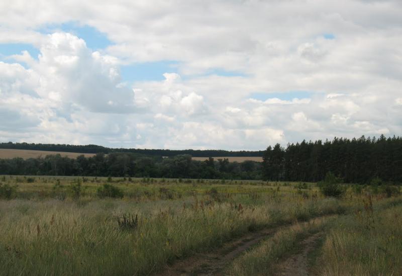 Синичине з panoramio.com - Синичине