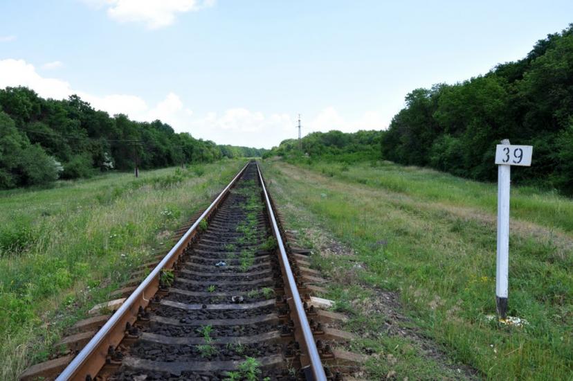 Золоте з panoramio.com - Zolote