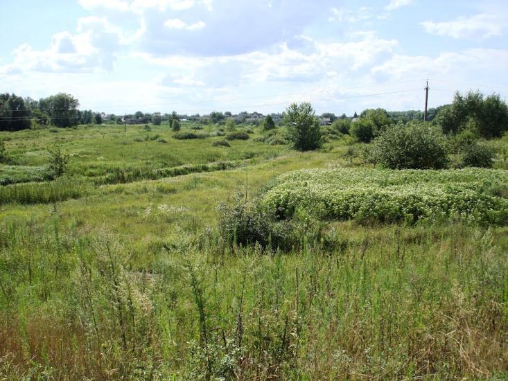 Демидів з panoramio.com - Демидов