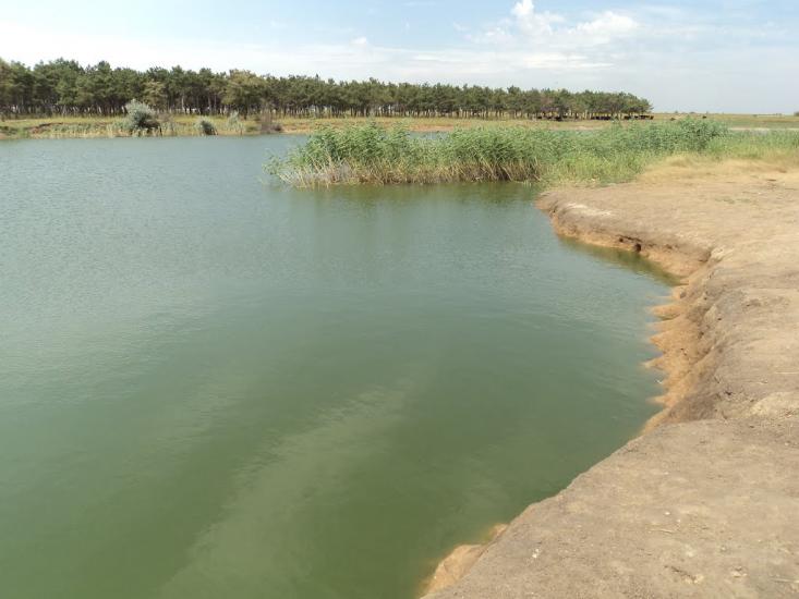 Баштанка з panoramio.com - Bashtanka