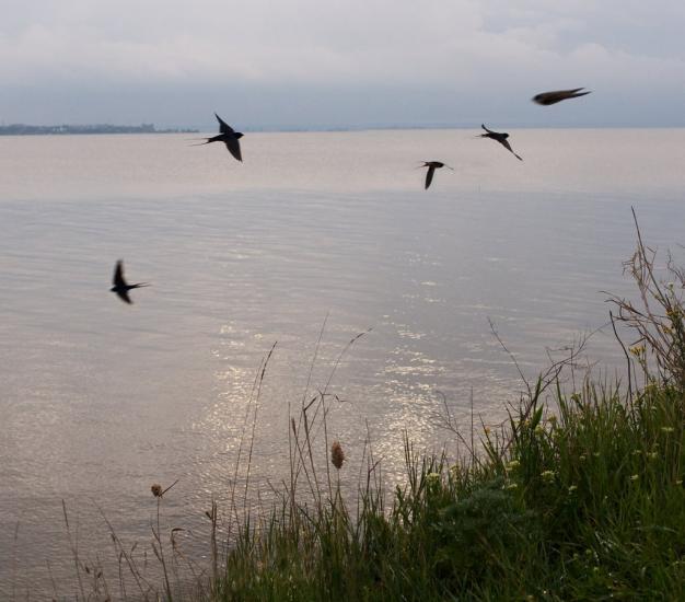 Роксолани з panoramio.com - Роксоланы