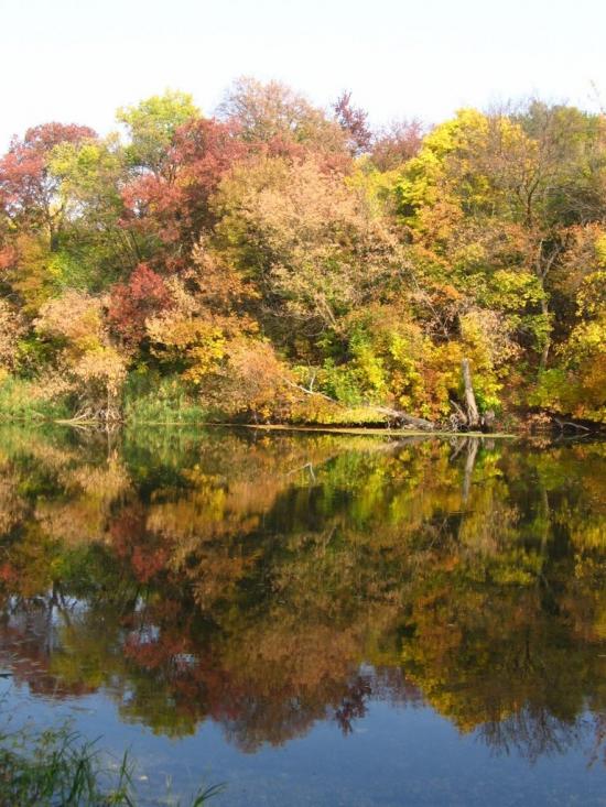Пискунівка з panoramio.com - Pyskunivka