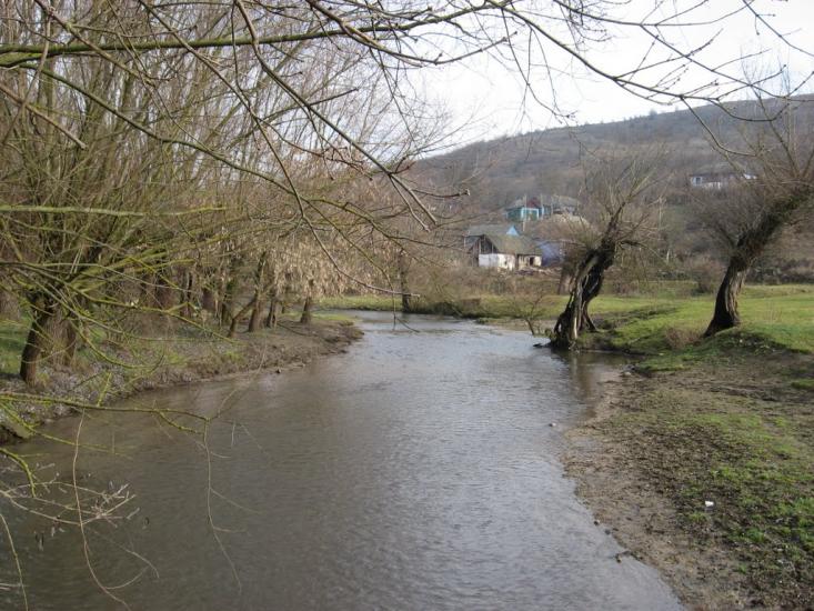 Шершенці з panoramio.com - Shershentsi