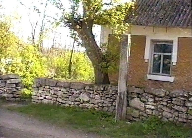 Ратуш з panoramio.com - Ратуш