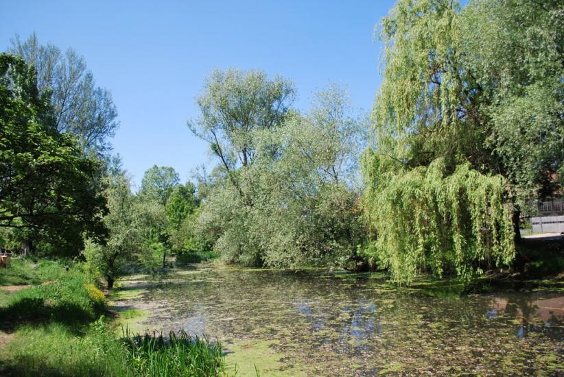 Велика Добронь з panoramio.com - Великая Добронь