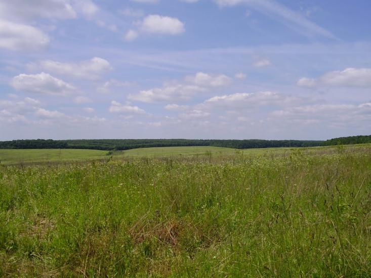 Красносілка з panoramio.com - Красносілка