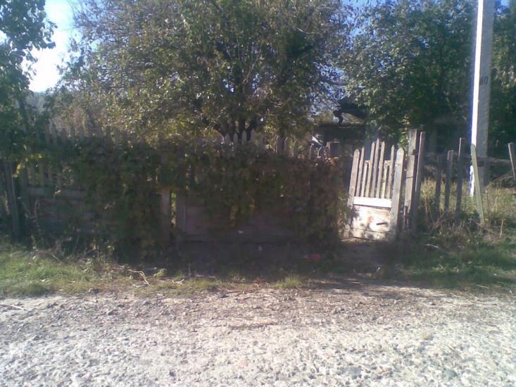 Лисогірка з panoramio.com - Лысогорка