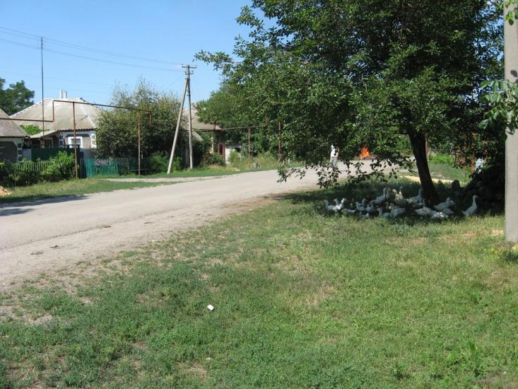 Бахмутівка з panoramio.com - Бахмутовка